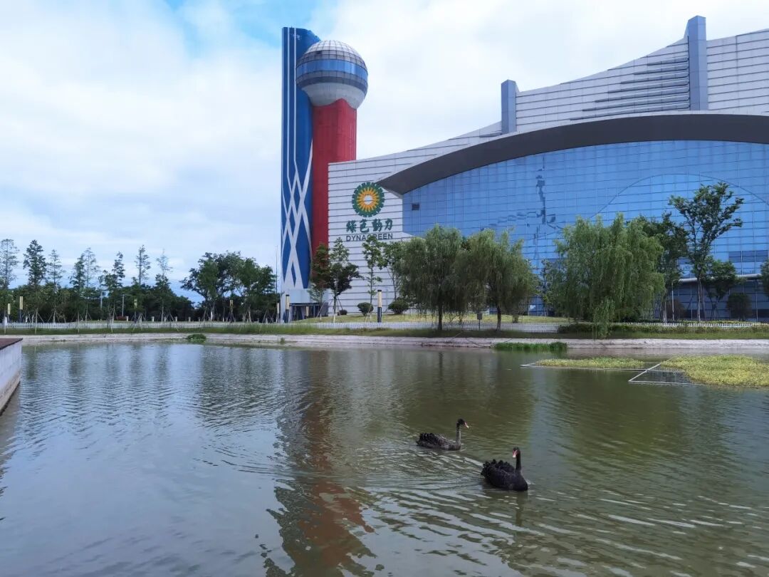 豪运国际官网-追求康健,你我一起生长